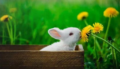 星空体育在线登录-地方篮球联赛蓬勃发展助力国家队选材